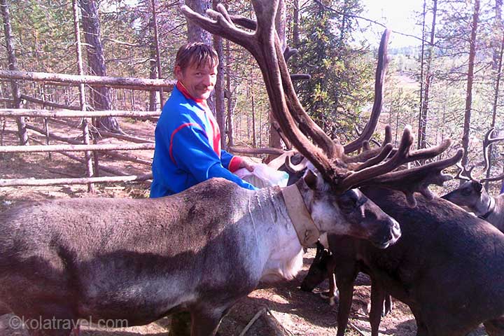 Get to know the amazing nature of Russian Lapland, the Midnight Sun, the beauty of the Barents sea, the mystical attraction of Teriberka, the Saami with their reindeer and affectionate Huskies.