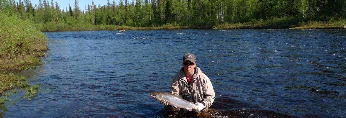 Atlantic salmon in Umba and Varzuga River. Comfortable lodging. Services from guides with boats, tasty meals and friendly staf. Brown-trout fishing in wild nature. KolaTravel